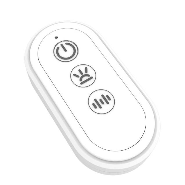 Plug Anal Pequeno Vibro com LED Controle Remoto e Aplicativo