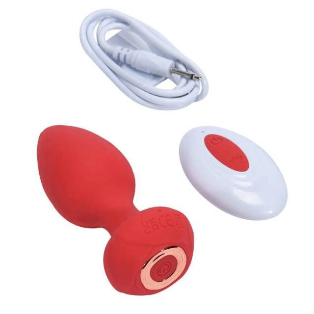 Plug Anal com Controle Remoto 