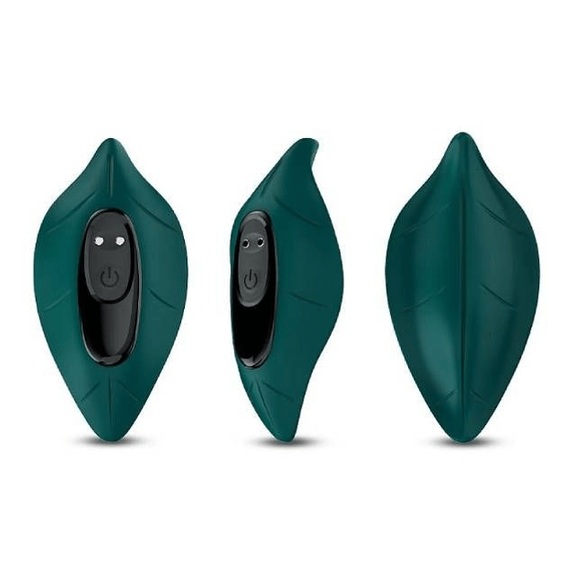 Vibrador de Calcinha Green Vibrator com Controle Remoto 